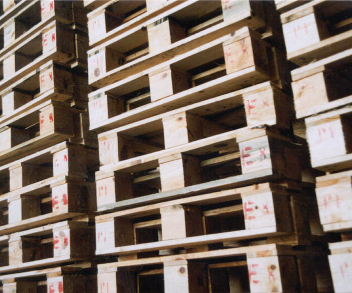 Paletes de madeira de qualidade superior - Produtos Pires e Martins